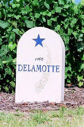 p_delamotte1.jpg