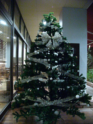 クリスマスツリー12月.JPG