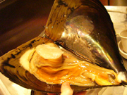 タイラギ貝 ジャーン.JPG