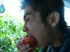 あかね農園　山トマト食べる.JPG