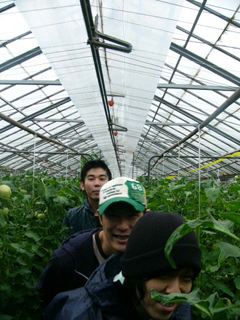 あかね農園 キッチンエグザエル.JPG